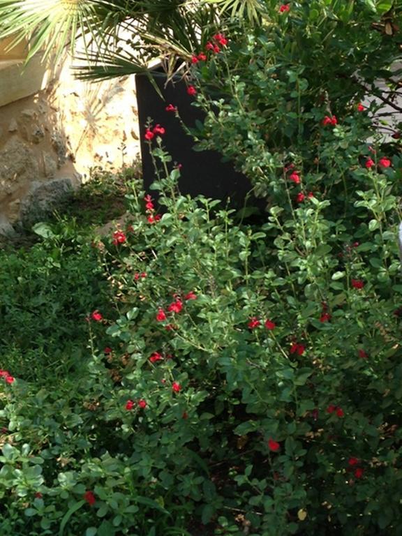 Bed and Breakfast Les Camelias Lalinde Экстерьер фото